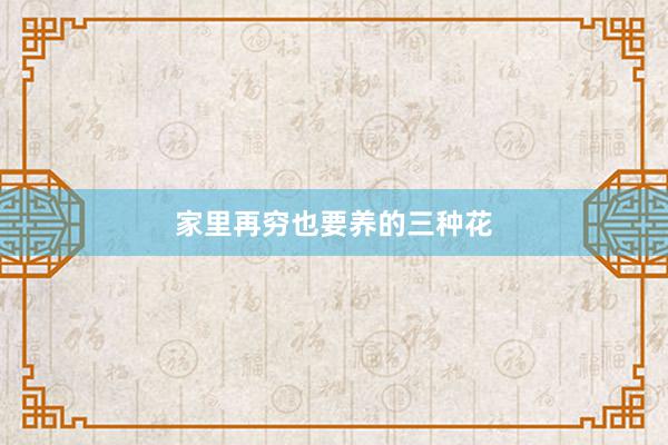 家里再穷也要养的三种花