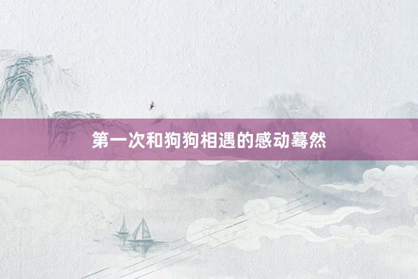 第一次和狗狗相遇的感动蓦然