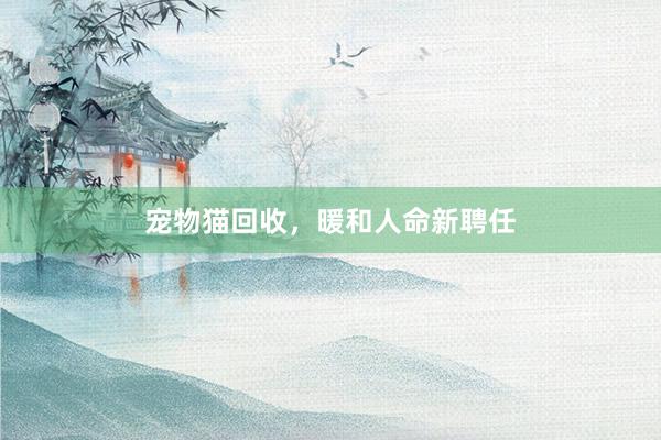 宠物猫回收，暖和人命新聘任