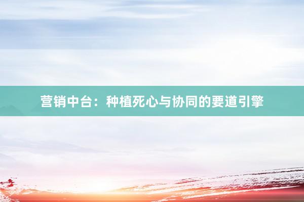 营销中台：种植死心与协同的要道引擎